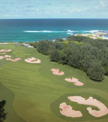 Turtle Bay Golf